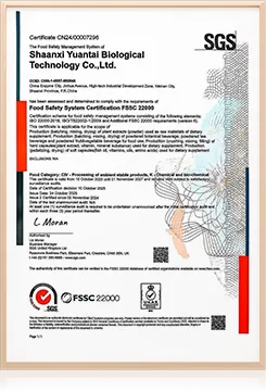 certificate 05